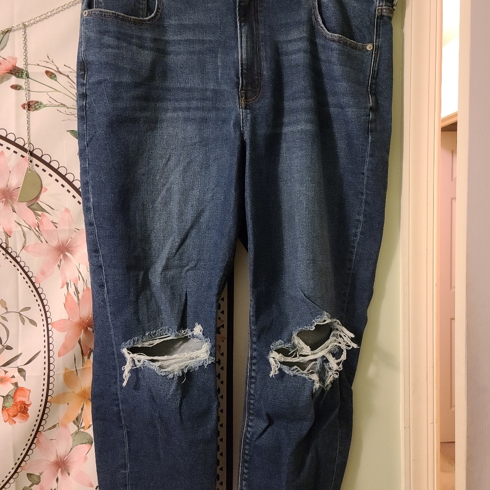 AE Distressed Mom Jeans